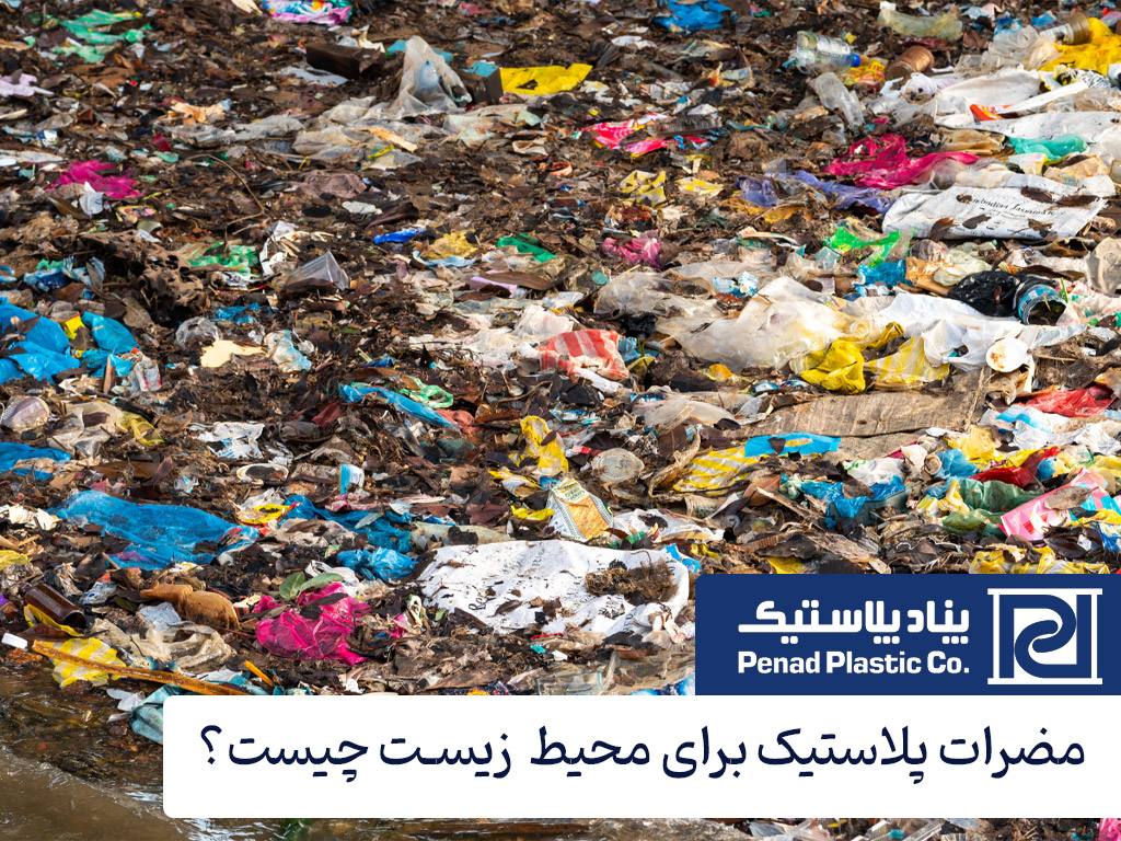 مضرات پلاستیک برای محیط زیست