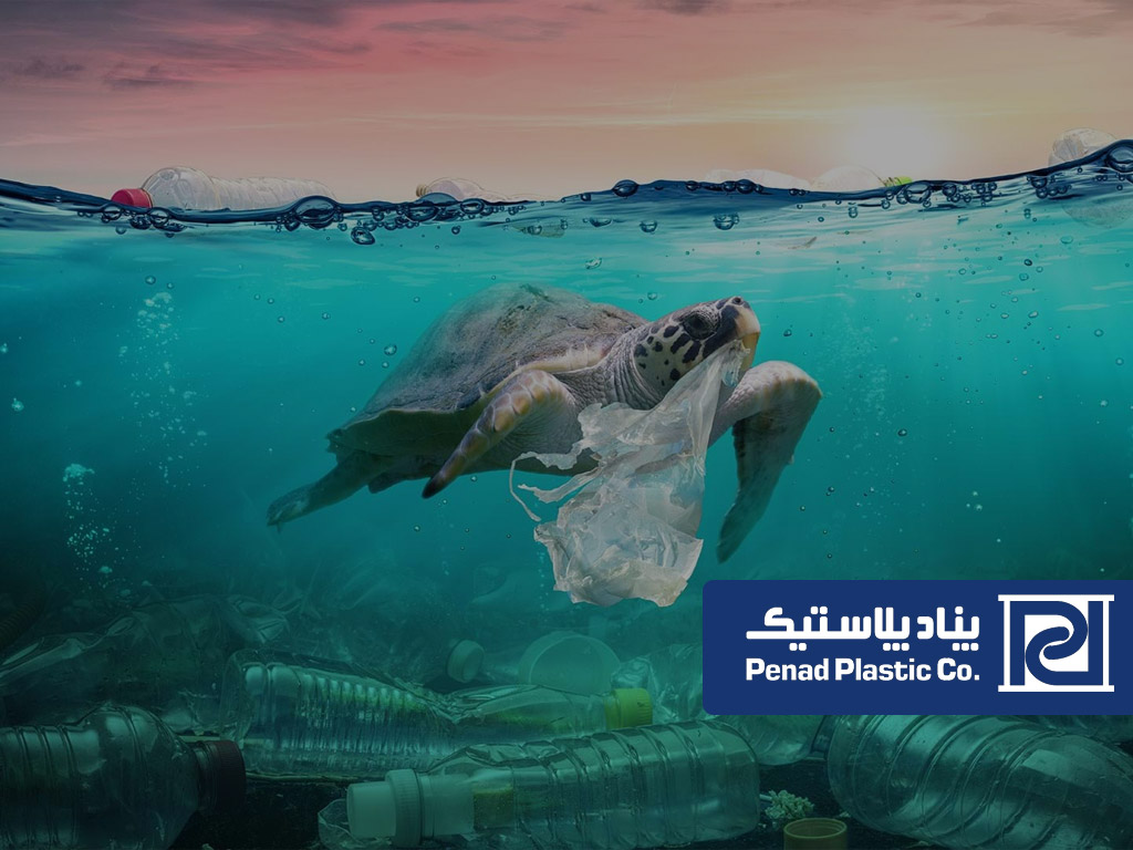 مضرات پلاستیک برای محیط زیست