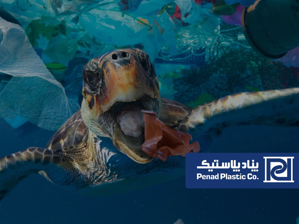 مضرات پلاستیک برای زیست جانوری